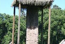 Quirigua One Day Tour